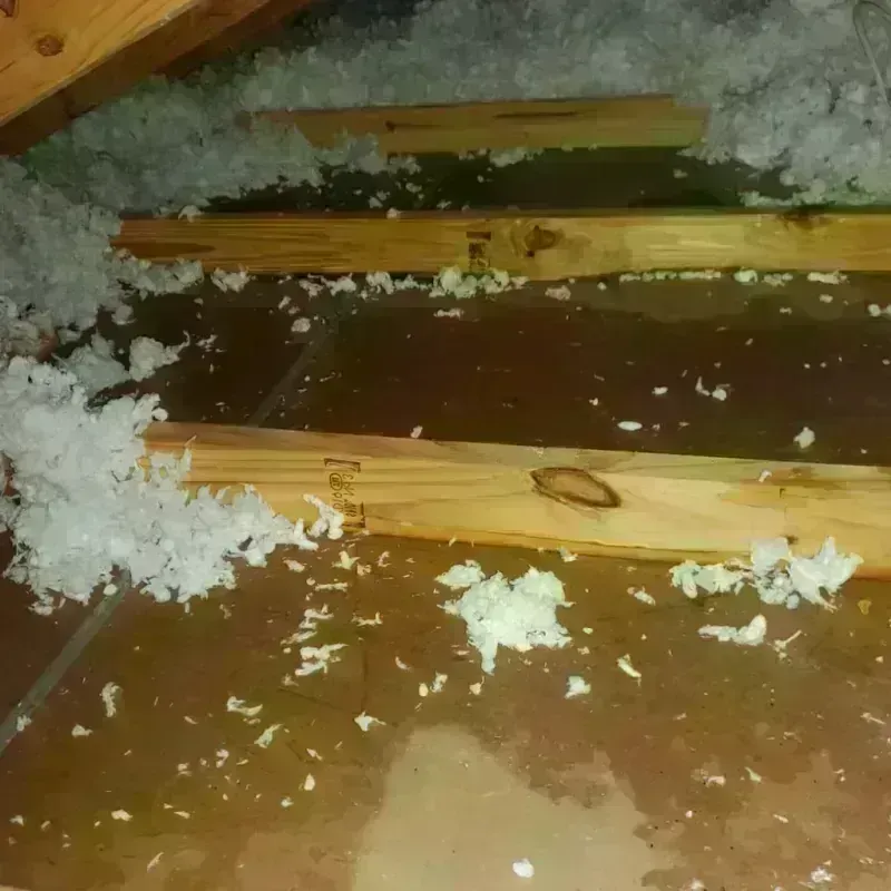 Attic Water Damage in Plano, KY