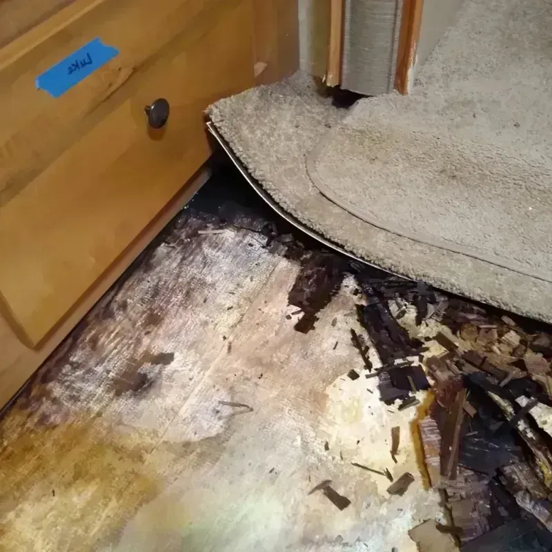 Wood Floor Water Damage in Plano, KY